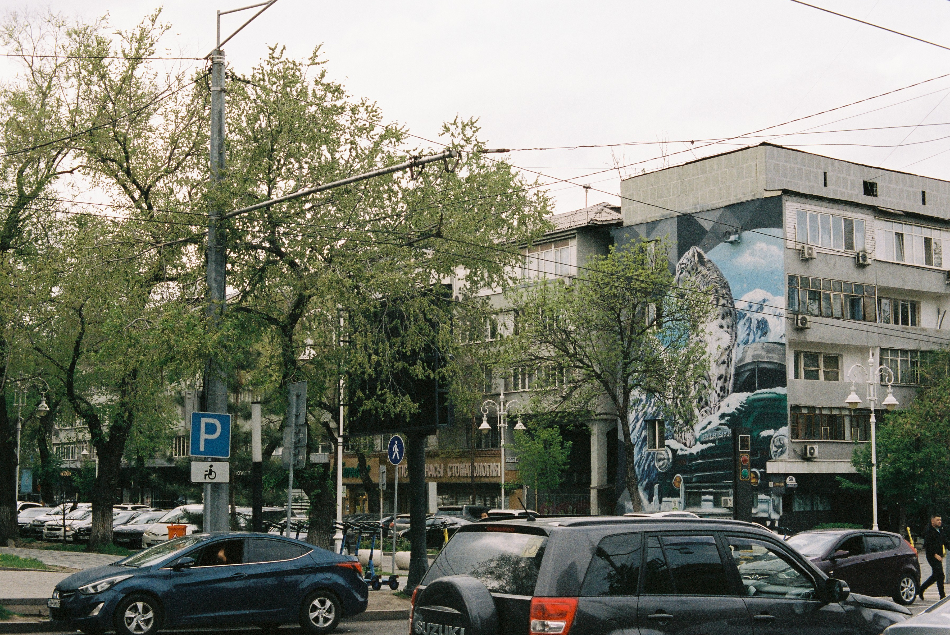 Thirty seventh3 frame